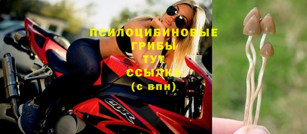 герыч Верхний Тагил