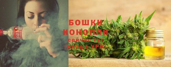 стаф Новокубанск