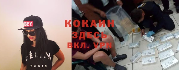 ГАЛЛЮЦИНОГЕННЫЕ ГРИБЫ Новодвинск