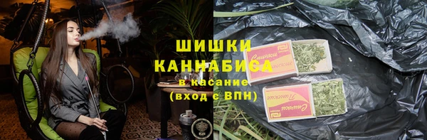 стаф Новокубанск