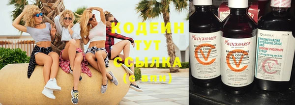 ГАЛЛЮЦИНОГЕННЫЕ ГРИБЫ Новодвинск