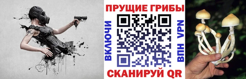Псилоцибиновые грибы Psilocybine cubensis  Краснослободск 